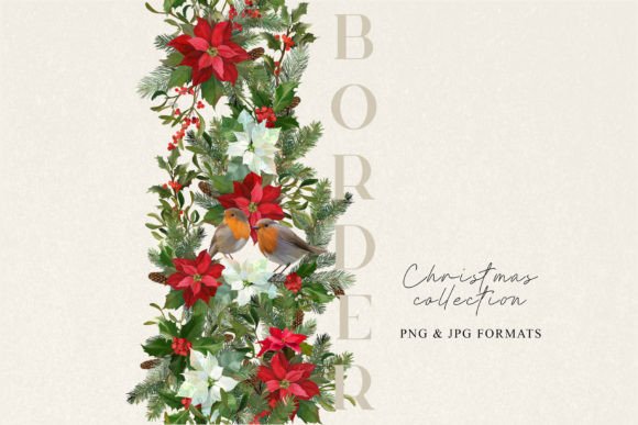 Christmas Floral Border PNG: Premium Illustrations