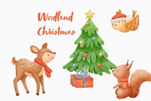 Deer Animal Christmas Watercolor Bird Review